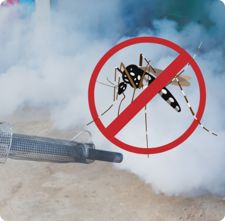 Mosquito Control Service Image